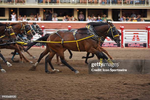 Chuck Ward Racing Chuckwagon Racing Photos and Premium High Res Pictures - Getty Images