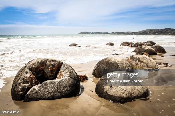 moeraki boulders - moeraki stock pictures, royalty-free photos & images