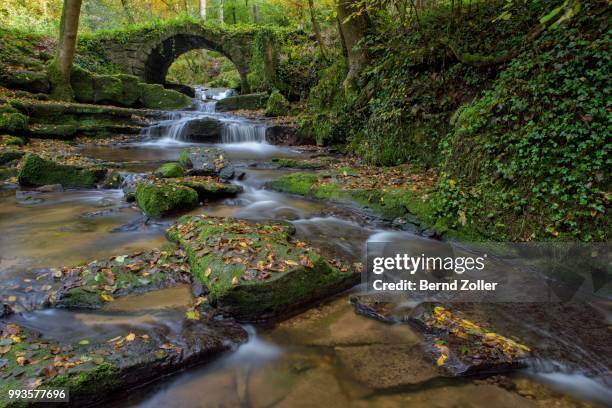 autumn forest along a stream in the swabian forest with an old stone arch bridge, reichenbach, schurwald wooded mountain range, baden-wuerttemberg, germany - calcification stock pictures, royalty-free photos & images