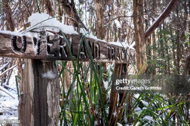 overland track, tasmania - overland track stock pictures, royalty-free photos & images