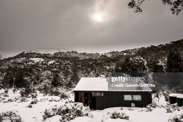 overland track, tasmania - overland track bildbanksfoton och bilder