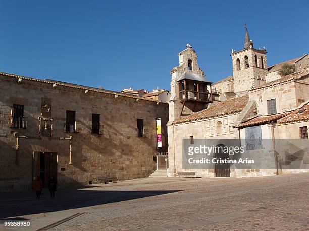palace of the cordon or punoenrostro, wich nowadays shelters the provincial museum,  zamora. - cristina arias stock pictures, royalty-free photos & images
