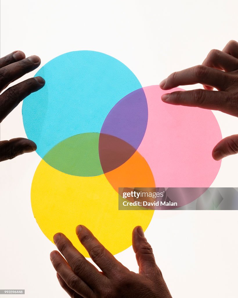 Three coloured circles on a Lightbox forming a venn diagram.