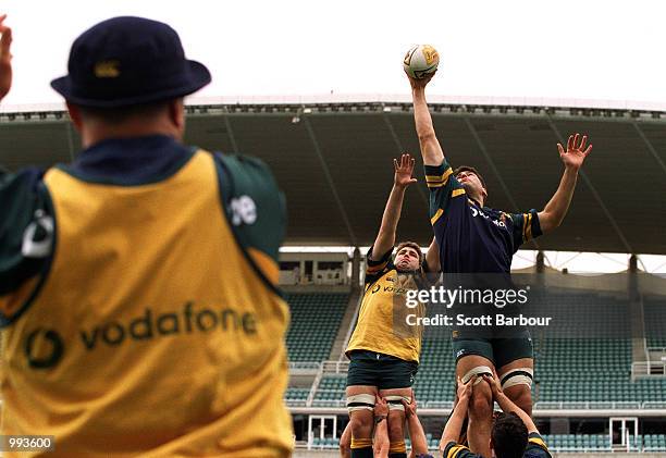 John Eales, Wallaby captain contests a lineout with David Lyons during a light training session at the Sydney Football Stadium, Sydney, Australia....