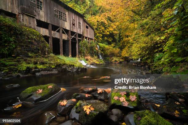 cedar creek grist mill fall - cedar river stock pictures, royalty-free photos & images