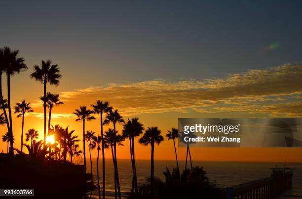 sunset @ scripps costal reserve - costal stock pictures, royalty-free photos & images