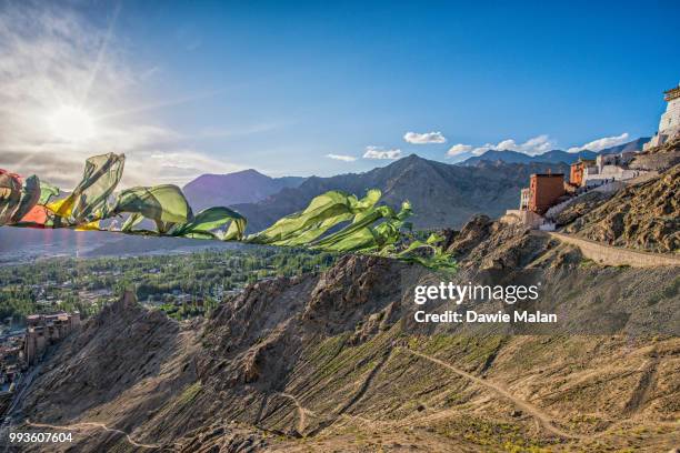 prayer flags above leh - malan stock pictures, royalty-free photos & images