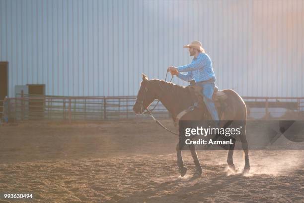 vaquero caballo en arena de rodeo - mosqueado fotografías e imágenes de stock