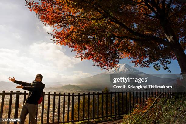 view of mount fuji in autumn  in japan. - fujikawaguchiko stock-fotos und bilder