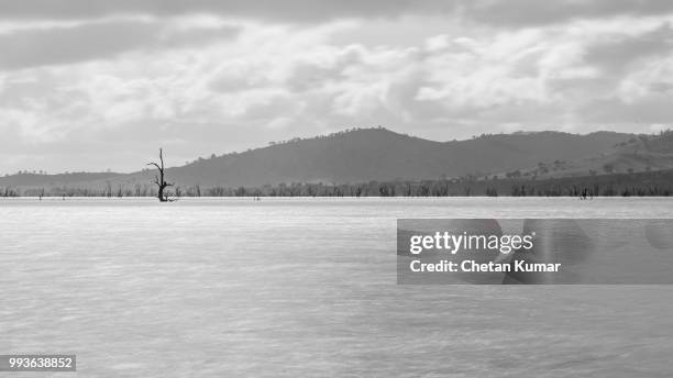 lake hume - chetan kumar stock pictures, royalty-free photos & images