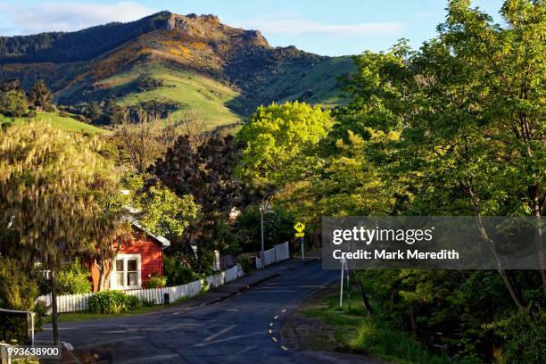 akaroa evening looking up leafy street to sunlit mountain - banks peninsula stock pictures, royalty-free photos & images