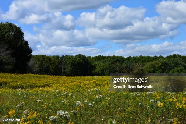 midwest field - bret schwalb stock pictures, royalty-free photos & images