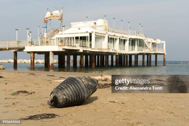 my buoy - eastbourne pier photos et images de collection