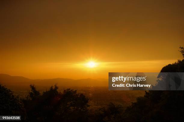sunset, fushimi inari shrine - inari shrine stock pictures, royalty-free photos & images