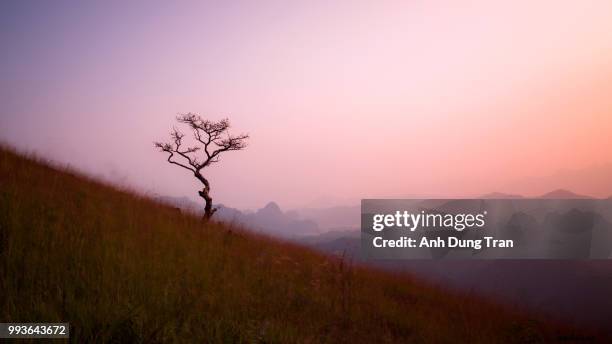 cao bang vn...sunset - dung stock pictures, royalty-free photos & images