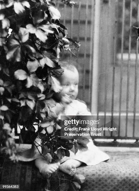 David Wright on the front steps of the home aged less than one year. Rug on the ground beneath the child. Lush foliage to the left, at the Frank...