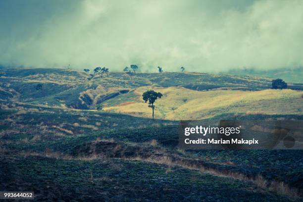 lombok savana - lombok stock-fotos und bilder