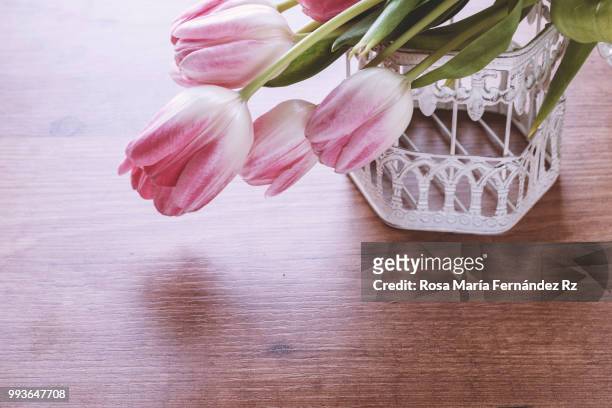 directly above of bouquet of tulips flowers on top of birdcage on wooden background. selective focus and copy space. - rz fotografías e imágenes de stock
