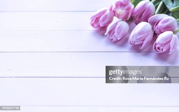 close-up of bouquet of tulips flowers on pink wooden background. selective focus and copy space. - rz stock pictures, royalty-free photos & images