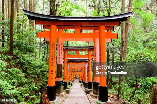 fushimi inari taisha - inari shrine stock pictures, royalty-free photos & images