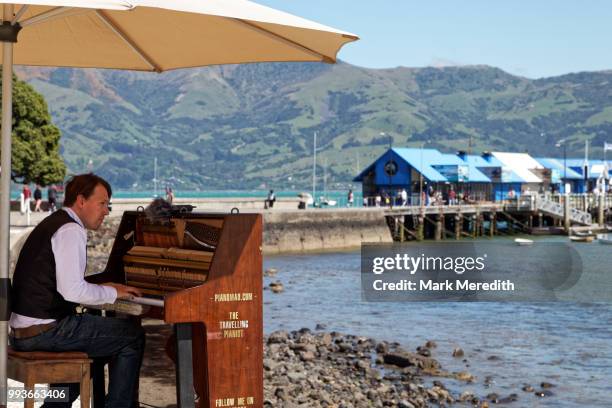 the travelling pianist at work on akaroa harbour waterfront - banks peninsula foto e immagini stock