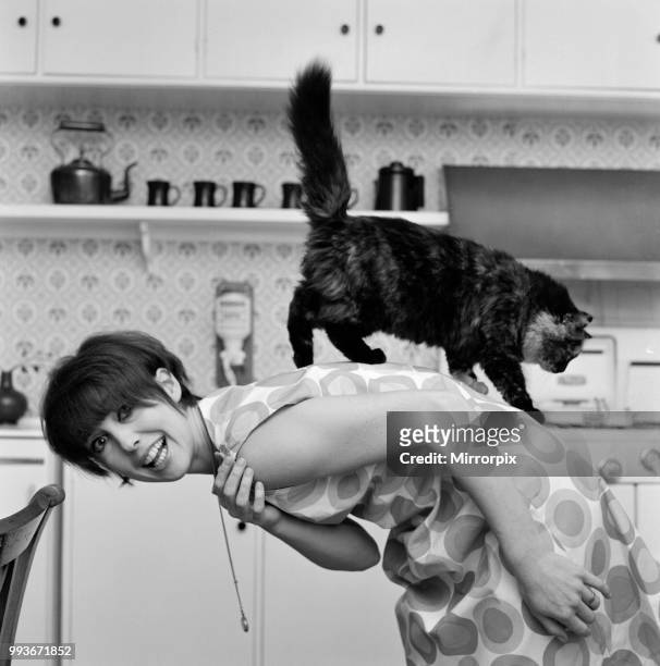 Actress Una Stubbs pictured at her Radlett home with her cat called 'Corrigan', 13th December 1964.