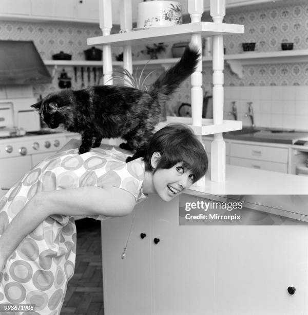 Actress Una Stubbs pictured at her Radlett home with her cat called 'Corrigan', 13th December 1964.