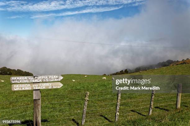 walking track signs above akaroa - banks peninsula foto e immagini stock