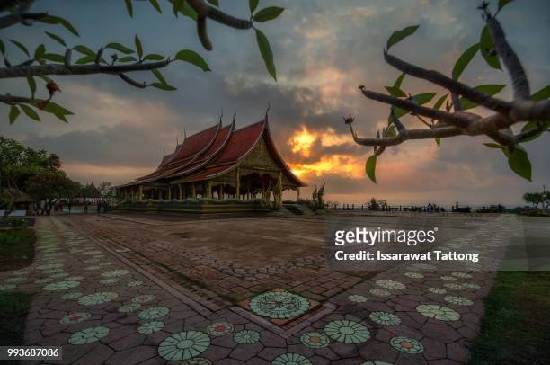 bodhi tree glow wat sirindhornwararam (phu prao temple) - ubon ratchathani stockfoto's en -beelden