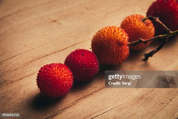 strawberry tree fruits - strawberry tree stock pictures, royalty-free photos & images