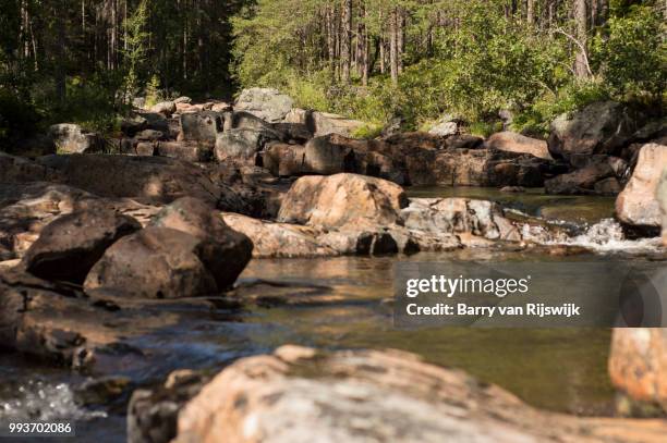 little waterstream in sweden - barry wood stock-fotos und bilder