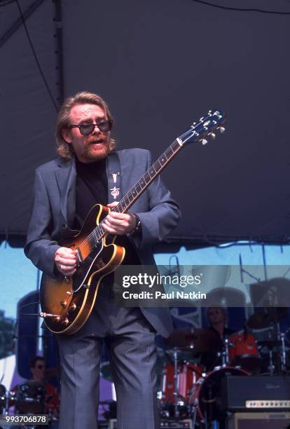 Guitarist Lee Roy Parnell performs at the Chicago Blues Festival in Chicago, Illinois, June 9, 2001.