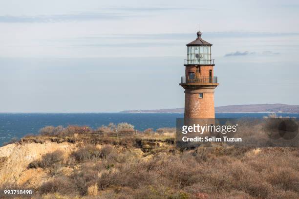 cape cod - gay head cliff stock pictures, royalty-free photos & images