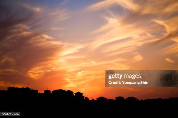 tequila sunrise - tequila sunrise stock pictures, royalty-free photos & images