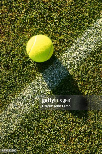 tennis ball on grass court - rasenplatz stock-fotos und bilder