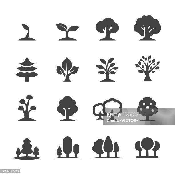 illustrations, cliparts, dessins animés et icônes de icônes d’arbres - acme série - arbres verts