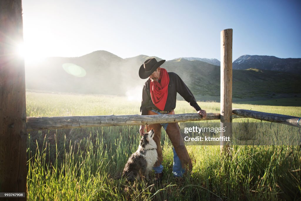 Cowboy et sa liaison au lever du soleil de chien