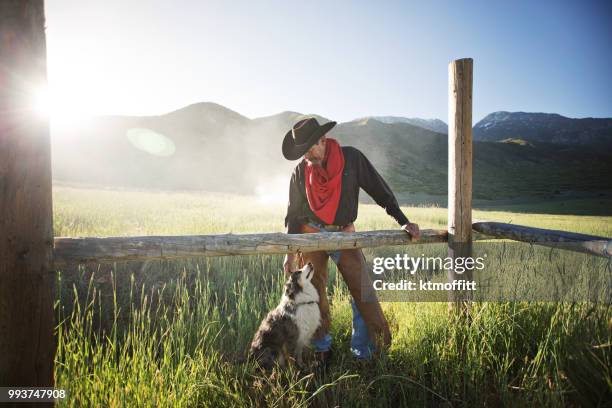 cowboy en zijn hond bonding bij zonsopgang - australische herder stockfoto's en -beelden