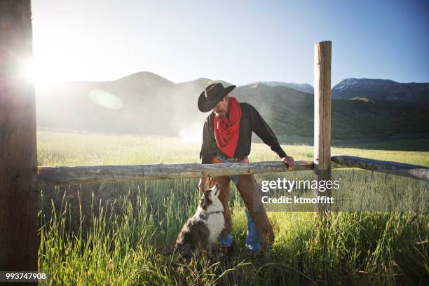 cowboy and his dog bonding at sunrise - cowboy hat post stock pictures, royalty-free photos & images