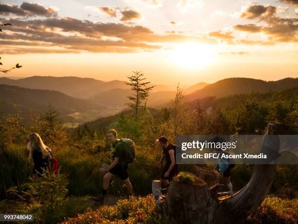 youth adventurers follow pathway through forest - follow through stock pictures, royalty-free photos & images