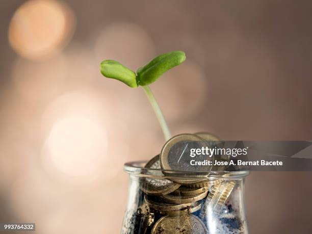 plants that grow in a flower pot with fertilizer of money, coins of the euro-zone. - eurozone crisis stock pictures, royalty-free photos & images