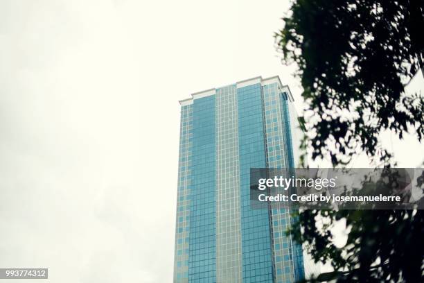 blue skyscraper behind the branches of a tree - josemanuelerre stock-fotos und bilder