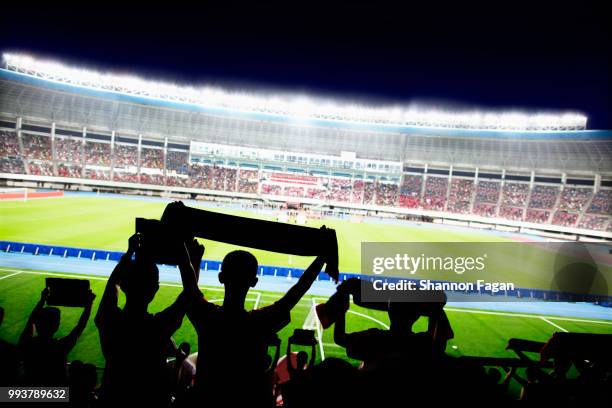 passionate fans cheer and raise banners at a sporting event in the stadium - sportbegegnung stock-fotos und bilder