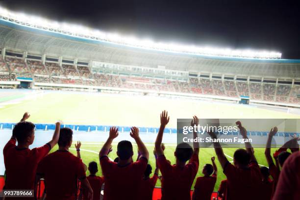 passionate fans cheer and raise hands at a sporting event in the stadium - celebratory event photos et images de collection