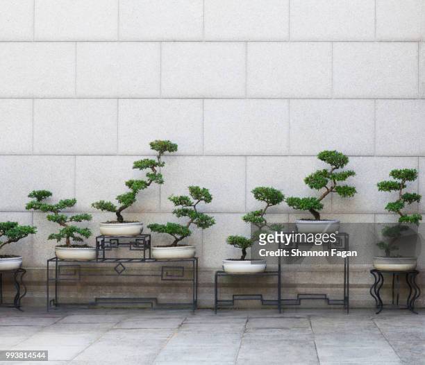 chinese ancient style ornamental potted plants - dedication brick stock pictures, royalty-free photos & images