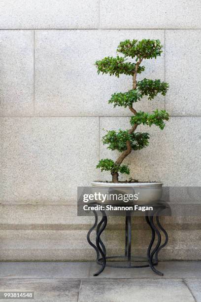 chinese ancient style ornamental potted plants - dedication brick stock pictures, royalty-free photos & images