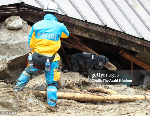 Sniffer dog carrying a small camera is brought in to the rescue operation at a landslide site on July 8, 2018 in Hiroshima, Japan. 77 people were...