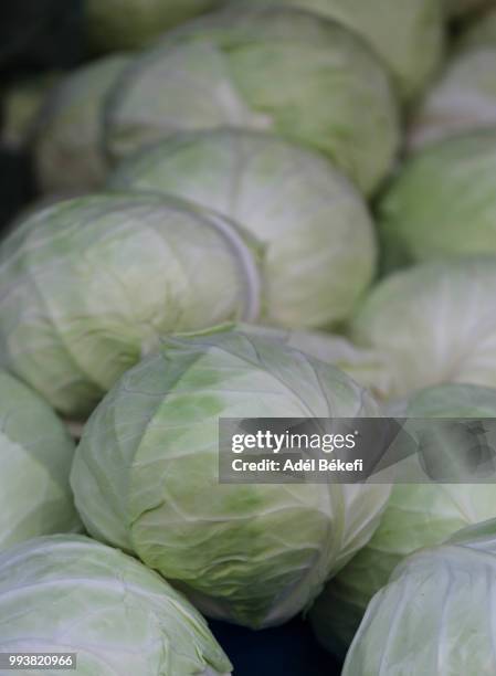 cabbage - raw food diet stock pictures, royalty-free photos & images