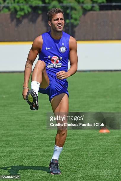 Cesc Fabregas of Chelsea during a preseason training session at Chelsea Training Ground on July 8, 2018 in Cobham, England.