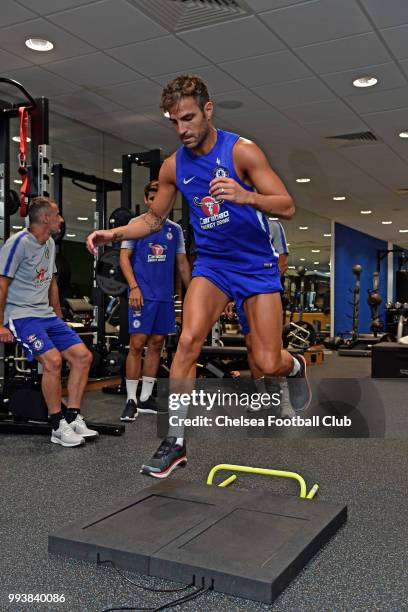 Cesc Fabregas of Chelsea during a preseason training session at Chelsea Training Ground on July 8, 2018 in Cobham, England.